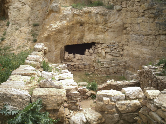 Contrebia Leucade