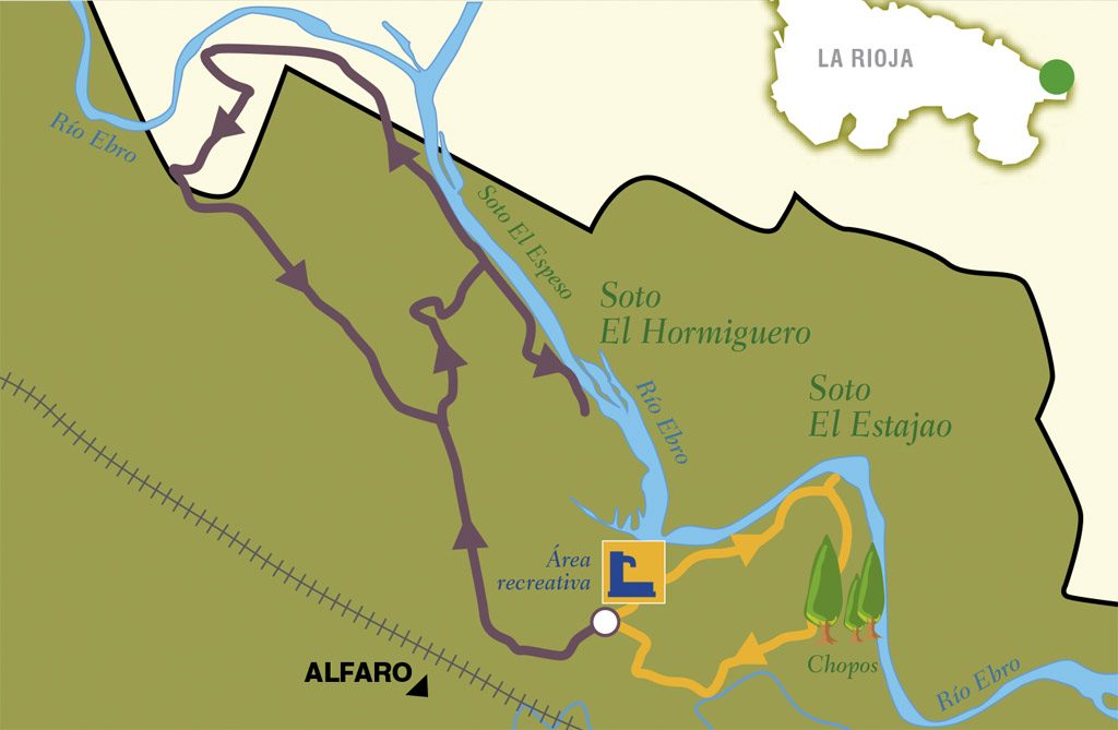 Sotos del Ebro