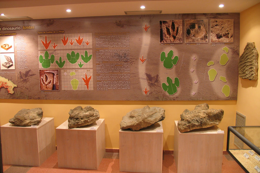 centro paleontologico igea